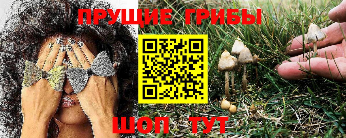 Галлюциногенные грибы Psilocybine cubensis  купить наркоту  Удомля  Вход с VPN 
