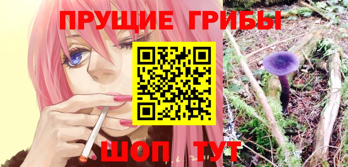 Псилоцибиновые грибы мицелий Удомля